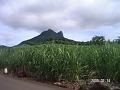 Mauritius 2004 018
